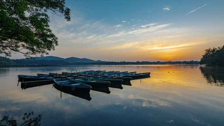 Yang Qingfu - Images-of-West-lake-10